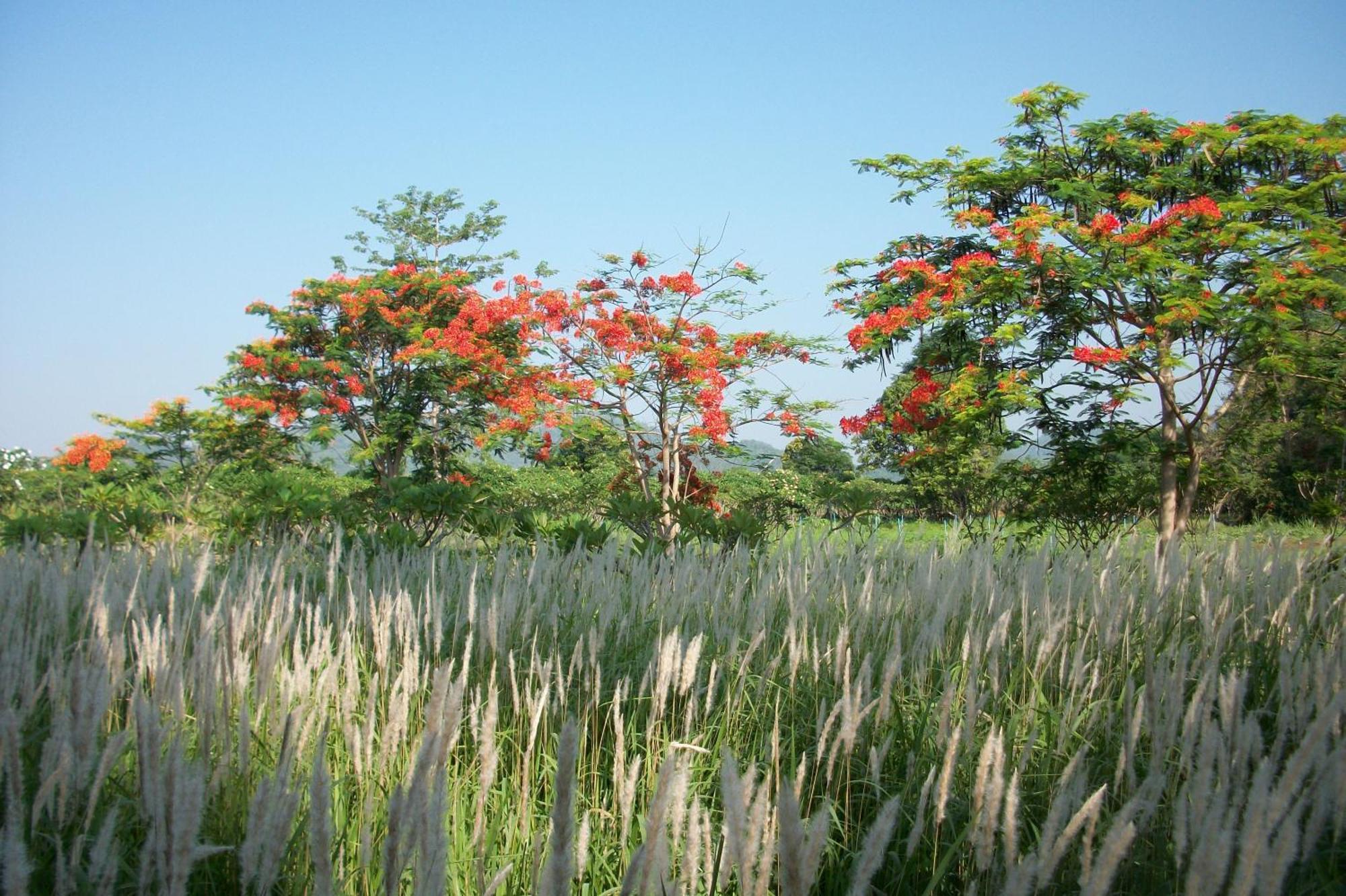 Lilawalai Resort Nongnamdeng Kültér fotó